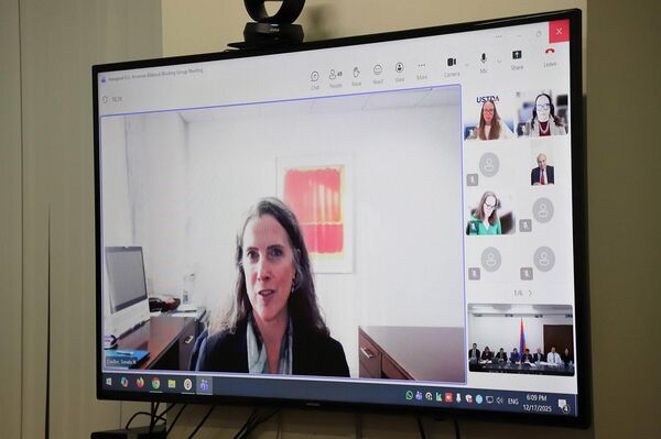 ՀՀ-ԱՄՆ աշխատանքային խմբի անդրանիկ հանդիպումը - Sputnik Արմենիա