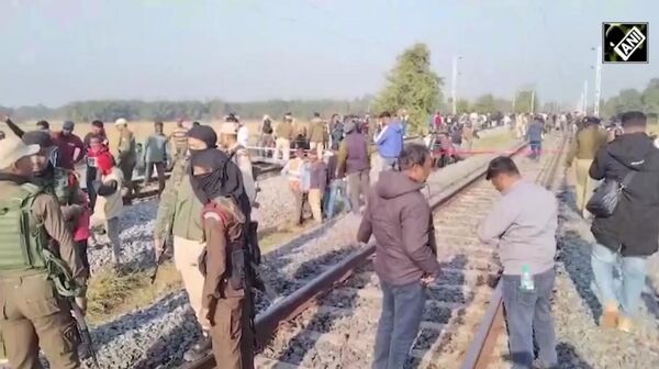 В Индии поезд протаранил стадо слонов, восемь животных погибли - Sputnik Армения