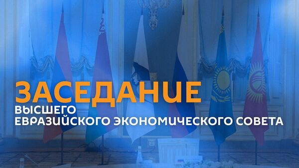 Заседание Высшего Евразийского экономического совета - Sputnik Армения