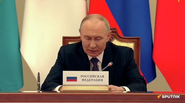 Выступление Владимира Путина на заседании Высшего Евразийского экономического совета - Sputnik Армения