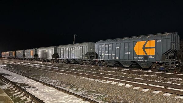 Загруженные зерном вагоны - Sputnik Արմենիա