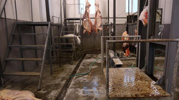 «Առողջ մսամթերքին» պատկանող սպանդանոցի արտադրական գործունեությունը կասեցվել է - Sputnik Արմենիա