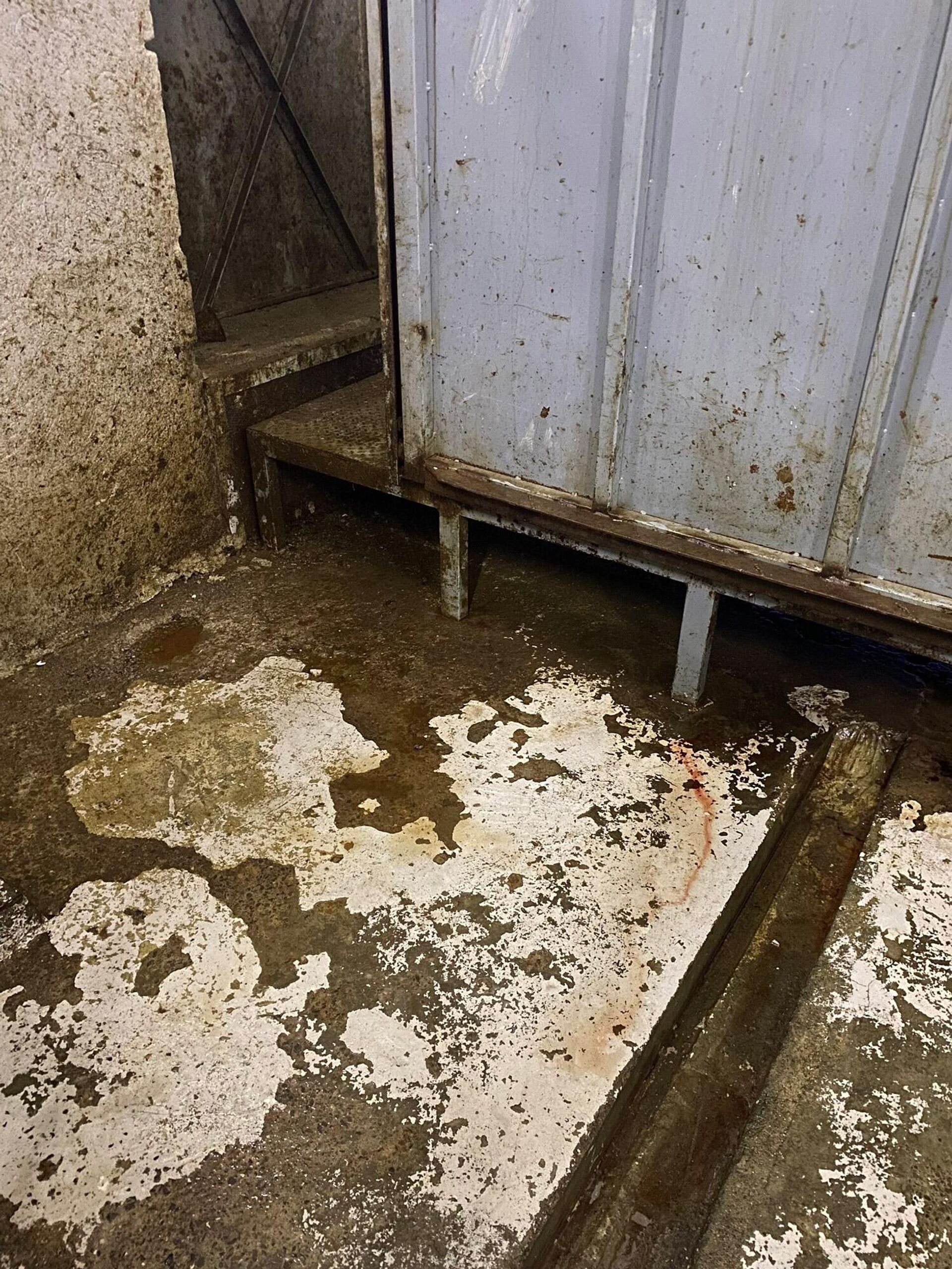 Инспекционный орган безопасности пищевых продуктов приостановили деятельность ООО Здоровые мяспродукты (Сисиан, Сюник) - Sputnik Արմենիա, 1920, 23.12.2025