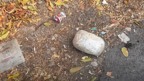 Հայտնաբերվեց մաքսանենգ ճանապարհով ներկրված ավելի քան 2 կգ մարիխուանա - Sputnik Արմենիա