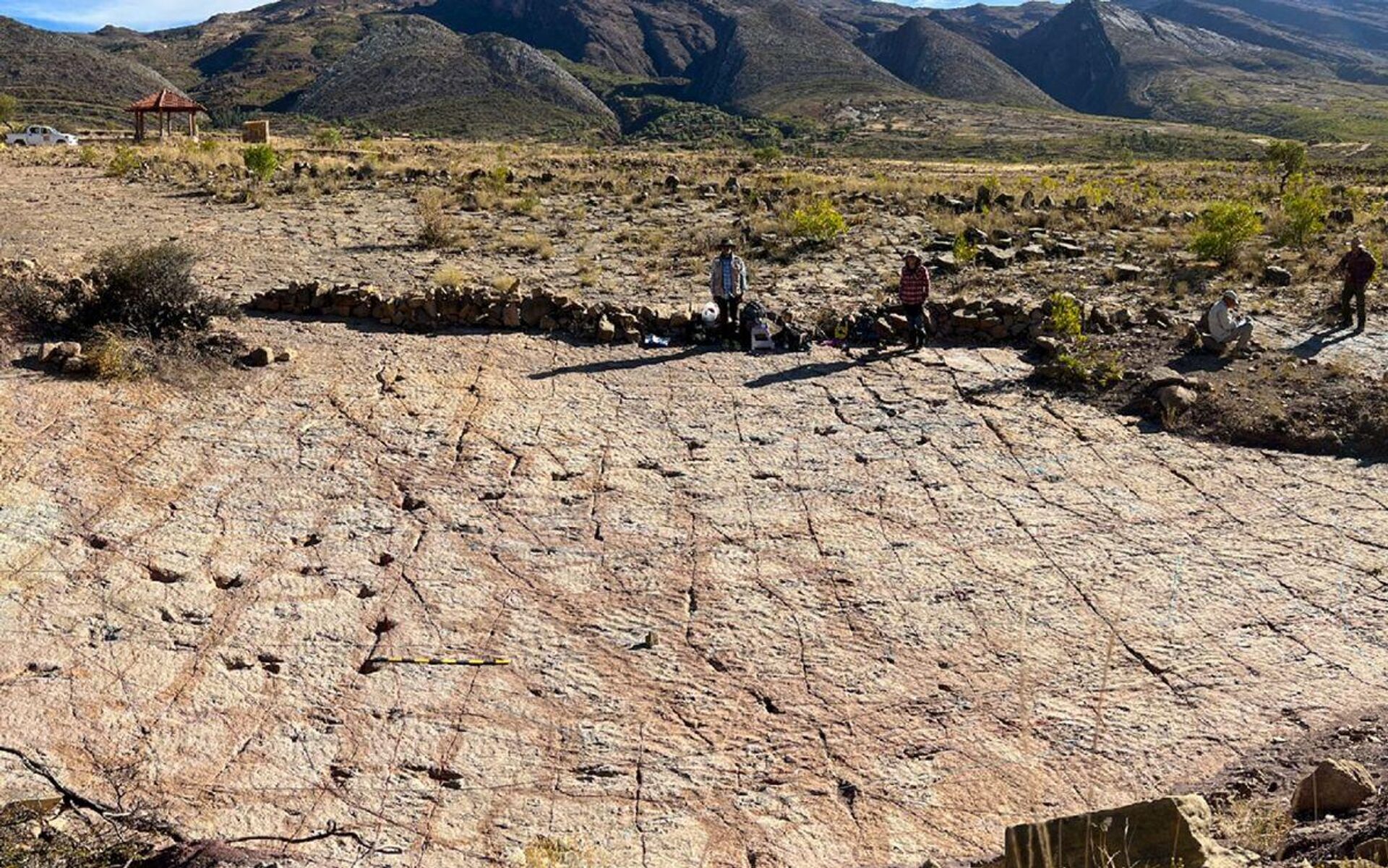 Один из участков раскопок Carreras Pampa в Национальном парке Тороторо - Sputnik Армения, 1920, 27.12.2025