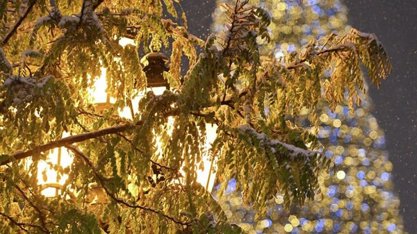 Ночной снегопад в Ереване - Sputnik Армения