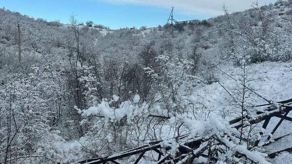 Обрушенные мачты линий электропередач - Sputnik Армения