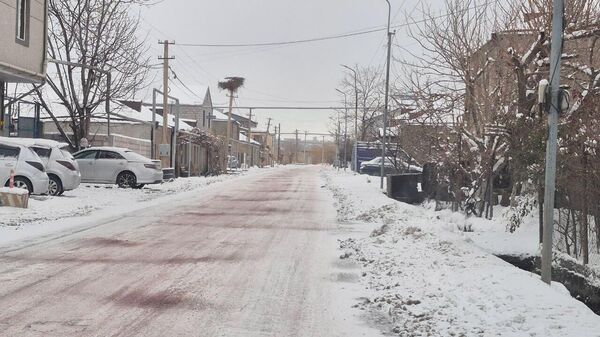 Зима в селе Хачпар Араратской области - Sputnik Армения