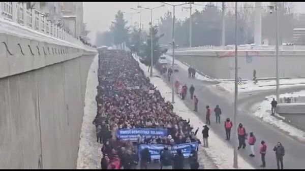 Протесты курдов в Турции - Sputnik Армения