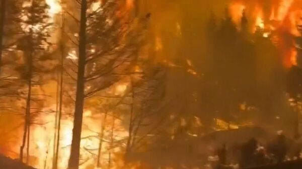 Масштабный лесной пожар бушует на юге Аргентины - Sputnik Армения
