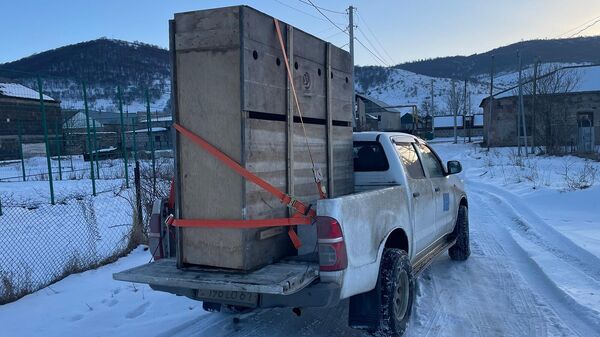 Լոռու մարզում նկատված եղջերուն վերադարձվել է «Դիլիջան» ազգային պարկ - Sputnik Արմենիա