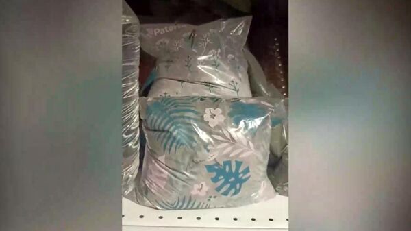 Кадры задержания россиянина, планировавшего теракт на железнодорожном мосту в Пермском крае - Sputnik Армения