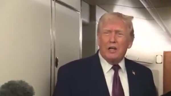 Трамп: Две собачьи упряжки – вся оборона Гренландии - Sputnik Армения