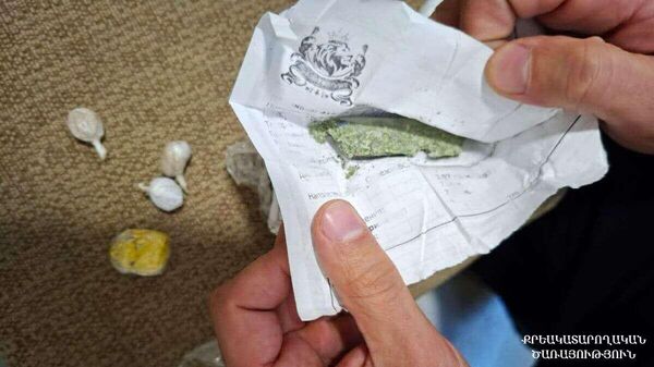 Փաստաբանի պայուսակում հայտնաբերված փաթեթների պարունակությունը - Sputnik Արմենիա