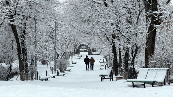 Снег в Ереване - Sputnik Армения