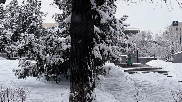Снег в Ереване - Sputnik Армения