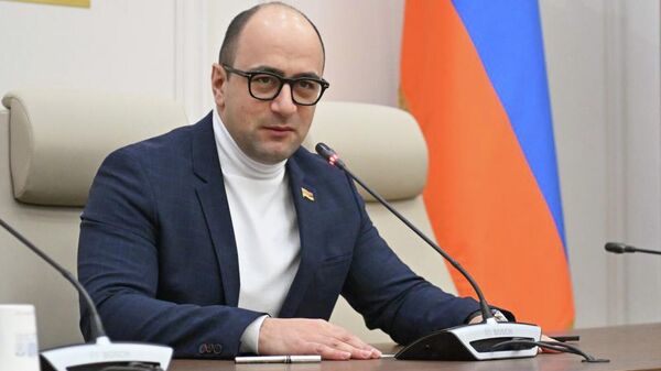 Депутат Айк Мамиджанян во время брифинга (22 января 2026). Еревaн - Sputnik Армения