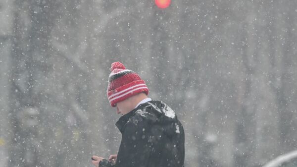 Снег в Ереване - Sputnik Армения