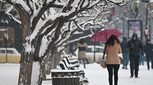 Снег в Ереване - Sputnik Армения
