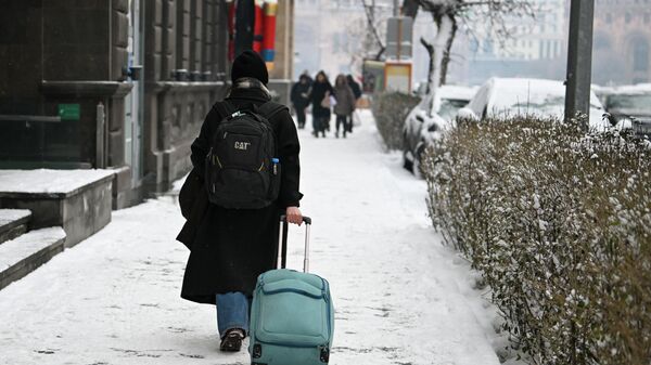 Снег в Ереване - Sputnik Армения