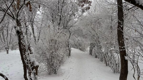Зимнее утро в Ереване - Sputnik Армения