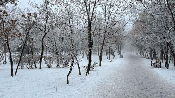 Зимнее утро в Ереване - Sputnik Армения