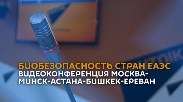 Видеоконференция Москва-Минск-Астана-Бишкек-Ереван на тему Биобезопасность стран ЕАЭС - Sputnik Армения