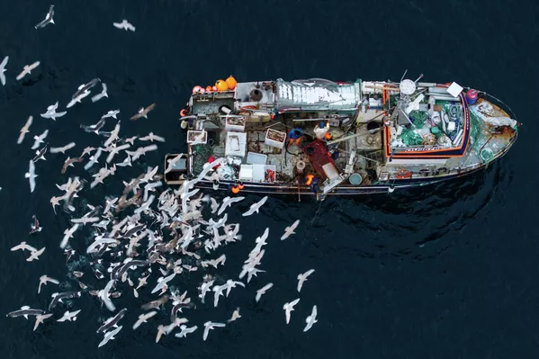 Ինուիտների օրենքով՝ մարդիկ կարող են ունենալ տներ, բայց ոչ դրանց տակ գտնվող հողը - Sputnik Արմենիա