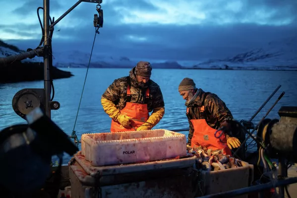 «Նույնիսկ մենք չենք կարող մեր սեփական հողը գնել, բայց Թրամփը ցանկանում է այն ձեռք բերել, դա մեզ համար այնքան տարօրինակ է»,–ասել է գյուղական կատեխիստ Կաալեերա Ռինգստեդը - Sputnik Արմենիա