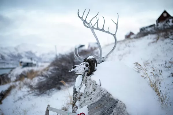 Գրենլանդիա - Sputnik Արմենիա