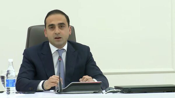 ԽՍՀՄ տարիների լավագույն ցուցանիշին ենք հասել․ Ավինյանը՝ Երևանի կանաչ ֆոնդի մասին - Sputnik Արմենիա