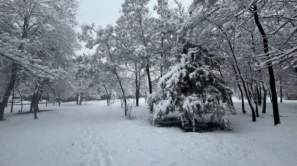 Снег в парке в Ереване - Sputnik Армения