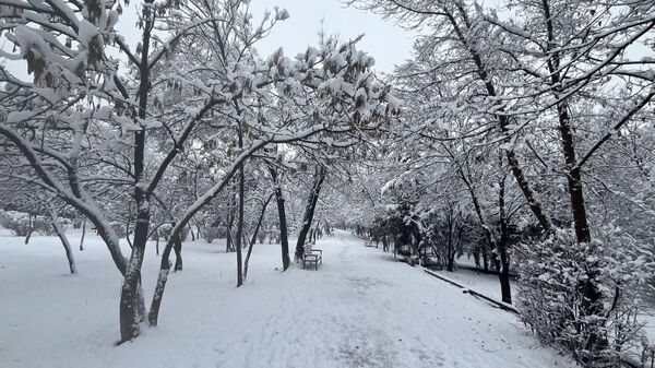 Արխիվային լուսանկար - Sputnik Արմենիա