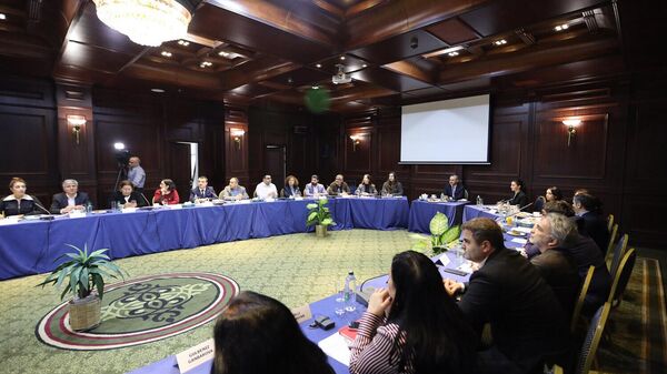 Արմեն Գրիգորյանը հանդիպել է ՀՀ–ի և Ադրբեջանի քաղհասարակության ներկայացուցիչների հետ - Sputnik Արմենիա