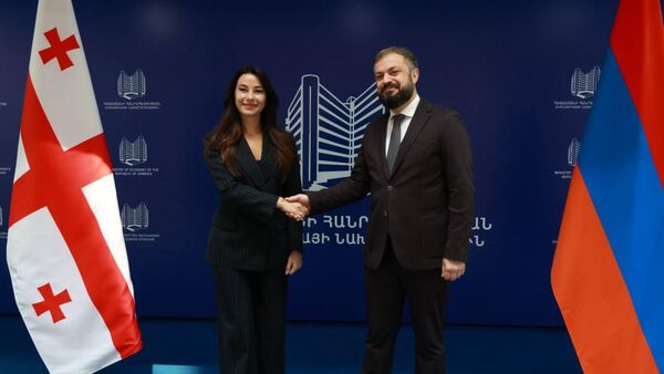 Մարիամ Կվրիվիշվիլին և ՀՀ էկոնոմիկայի նախարար Գևորգ Պապոյանը - Sputnik Արմենիա