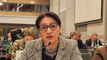 Лилит Галстян во время зимней сессии ПА ОБСЕ (20 февраля 2026). Вена