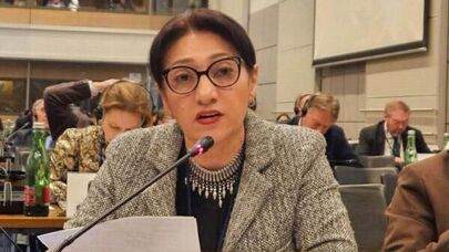 Лилит Галстян во время зимней сессии ПА ОБСЕ (20 февраля 2026). Вена