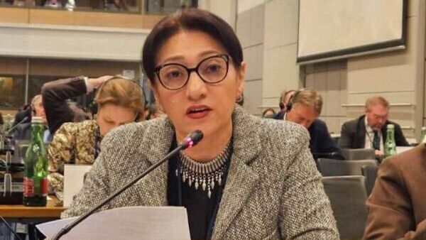 Лилит Галстян во время зимней сессии ПА ОБСЕ (20 февраля 2026). Вена - Sputnik Армения
