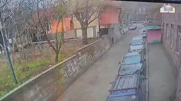 Երևանում 20-ից ավելի երիտասարդներ ծեծել են մեկին. կա ձերբակալված - Sputnik Արմենիա