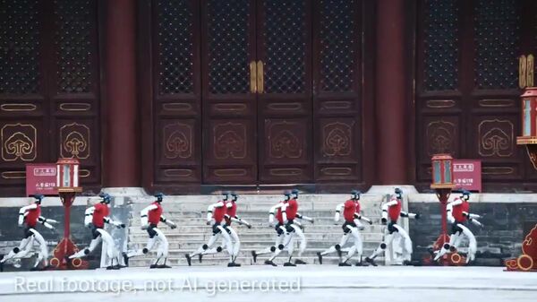 Շուրջ 50 մարդանման ռոբոտներ մարտարվեստի շոու են ցուցադրել Պեկինի Երկնքի տաճարի մոտ - Sputnik Արմենիա