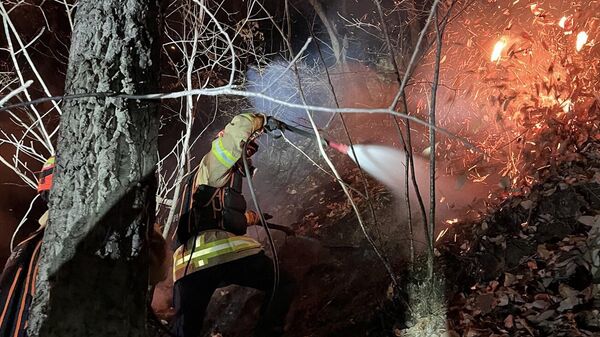 Մեկ օրում երկրորդ F-16 ինքնաթիռն է կործանվել - Sputnik Արմենիա