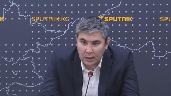 Страны ЕАЭС оцифруют процесс госзакупок и поместят на единую платформу - Sputnik Армения