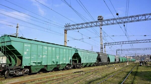 Ադրբեջանից ուղարկված բեռը - Sputnik Արմենիա