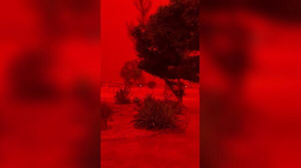 Тропический циклон Нарелл окрасил небо Австралии в красный цвет - Sputnik Армения