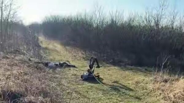 Мужчина, готовивший теракт против сотрудника правоохранительных органов, планировал взорвать его автомобиль - Sputnik Армения