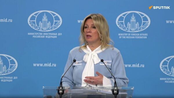 Россия готова к взаимодействию с Арменией в сфере противостояния гибридным угрозам: Захарова - Sputnik Армения