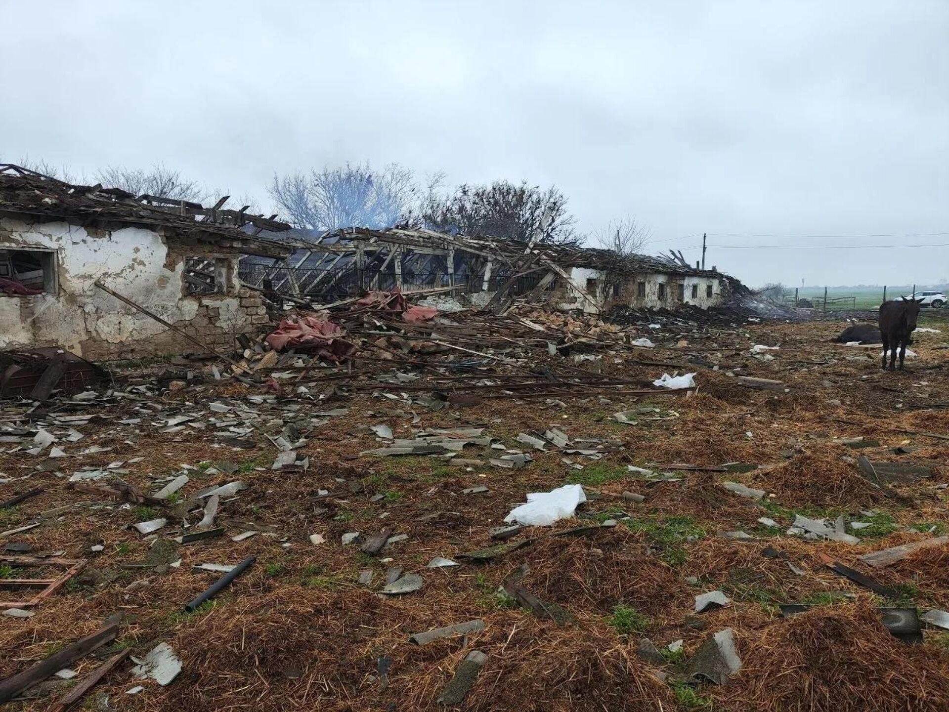 Десять украинских БПЛА атаковали конную станцию в Запорожской области - Sputnik Արմենիա, 1920, 02.04.2026