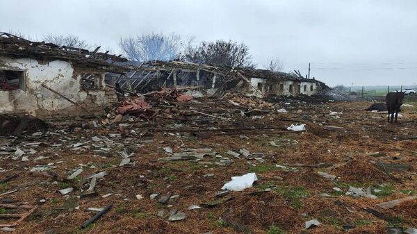 Десять украинских БПЛА атаковали конную станцию в Запорожской области - Sputnik Армения