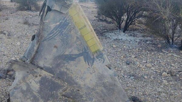 Обломки сбитого средствами ПВО Ирана истребителя F-15E Strike Eagle из состава 48-го истребительного крыла ВВС США  - Sputnik Армения