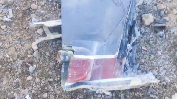 Обломки сбитого средствами ПВО Ирана истребителя F-15E Strike Eagle из состава 48-го истребительного крыла ВВС США - Sputnik Армения